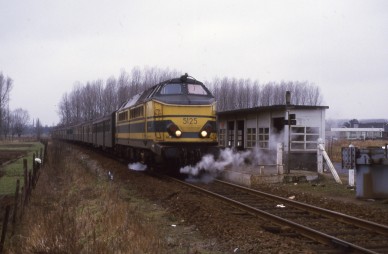 5125 - 198x.xx.xx - Vijfhuizen - Eli AMEEL.jpg